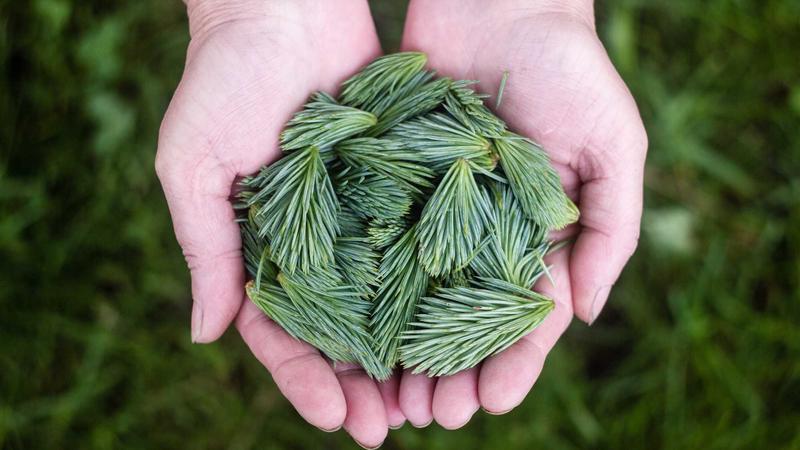 影视工厂第一页解锁全网免费影视资源